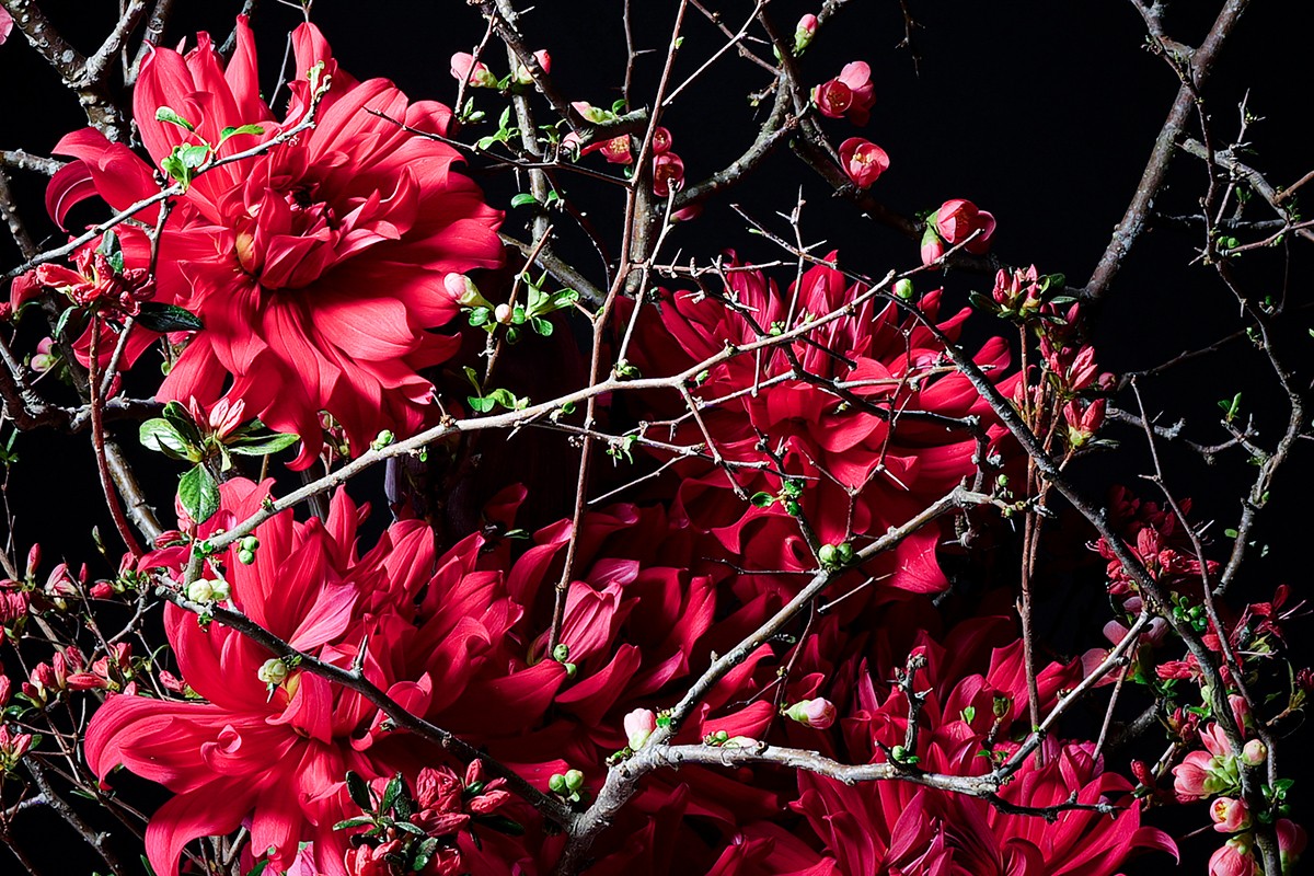 Close-up of part of the image