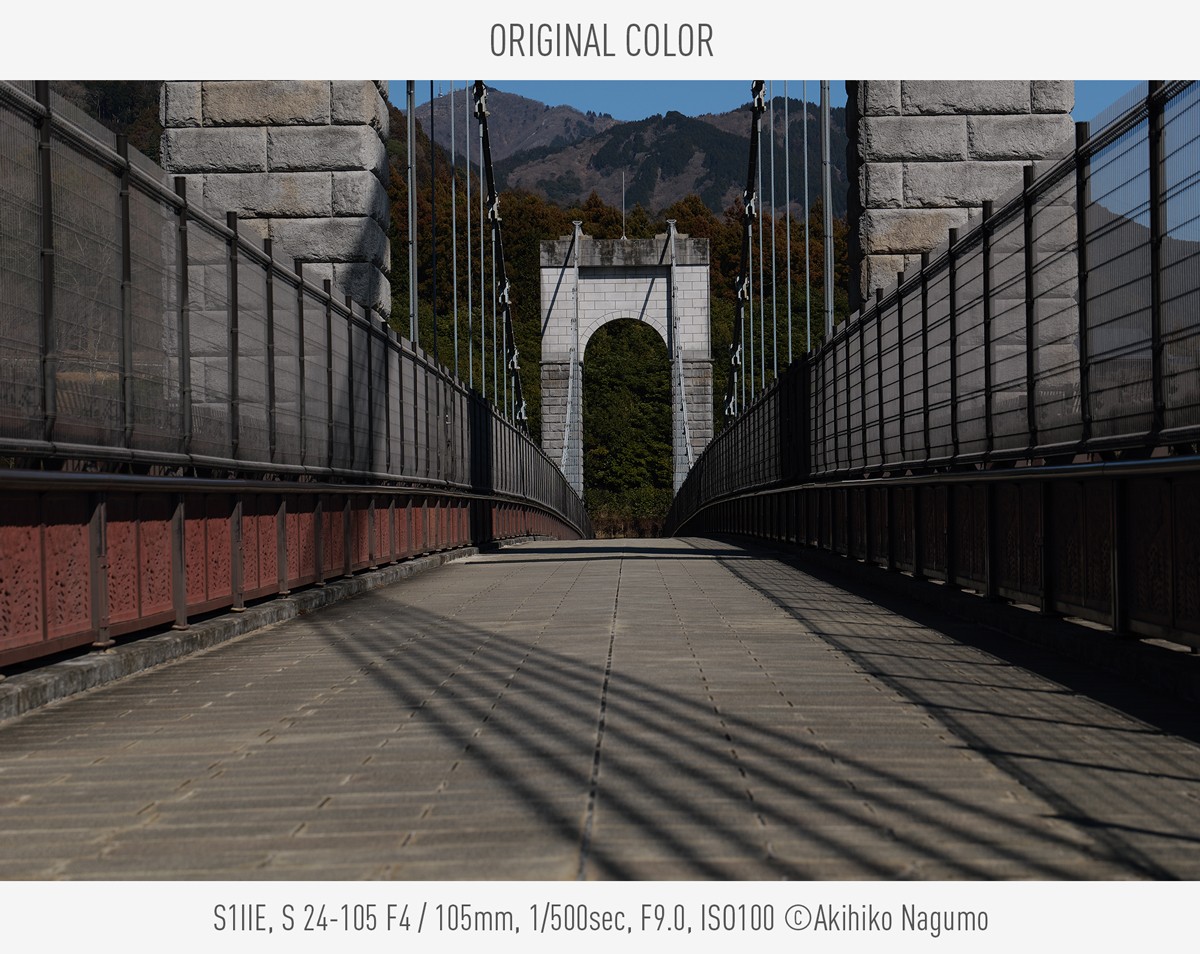 Original Color, Photo by Akihiko Nagumo, S1IIE, S 24-105 F4, 105mm, 1/500sec, F9.0, ISO100
