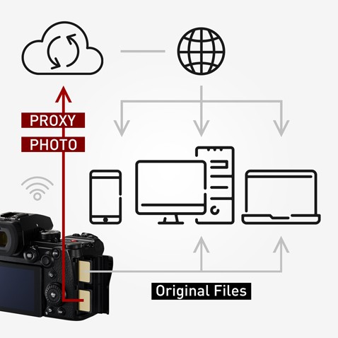 Enables cloud-based sharing and collaborative work