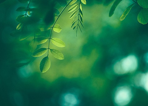 การอาบน้ำที่ปลอดภัยและเป็นมิตรต่อสิ่งแวดล้อม