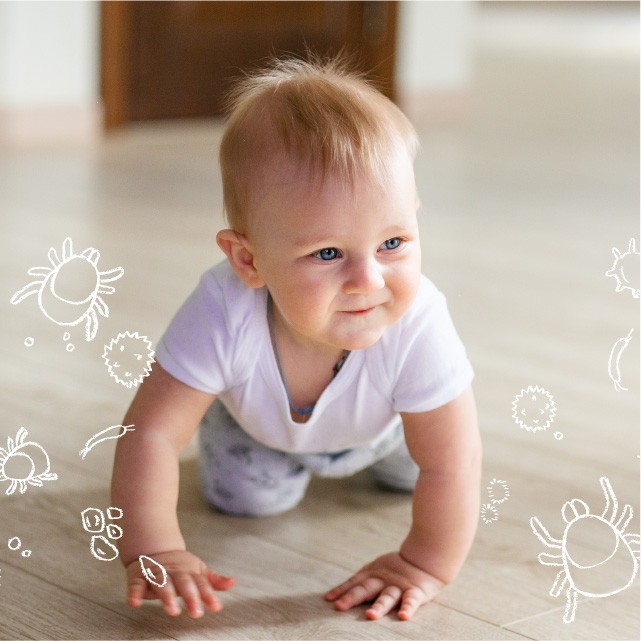 ฝุ่นในบ้านคืออะไร