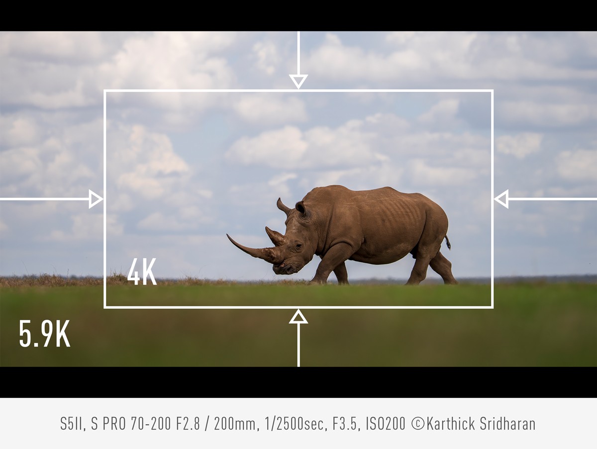 Real-time pan, tilt and zoom
