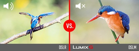 Lautloses Fotografieren