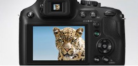 Sichere Bildkontrolle dank Sucher und LC-Display