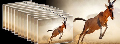 Disparo ráfaga de 12 fps