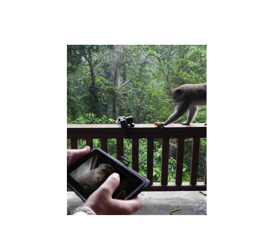 Prise de vue télécommandée