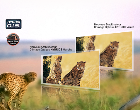 Stabilisateur HYBRID O.I.S.