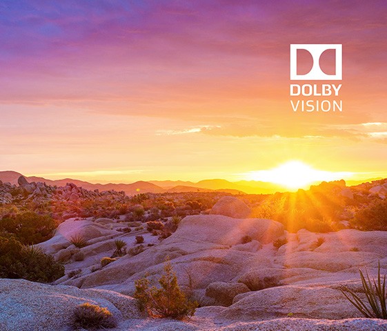 Dolby Vision™