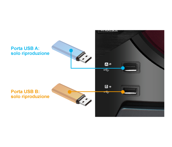 Doppio ingresso USB (solo riproduzione)