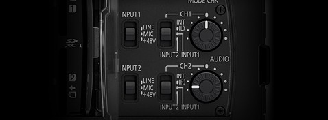 Terminali di ingresso audio XLR a 2 canali