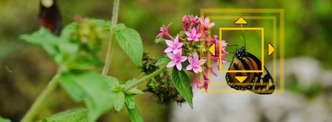 Ingrandimento con punto di messa a fuoco a 1 area