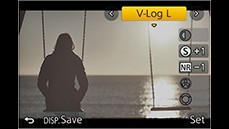 ការដំឡើងកម្រិត V-Log L