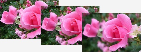 Focus Bracket / Aperture Bracket