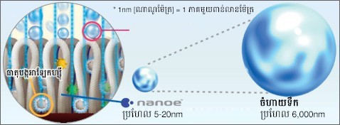 ជ្រាបចូលសាច់ក្រណាត់សព្វល្អ
