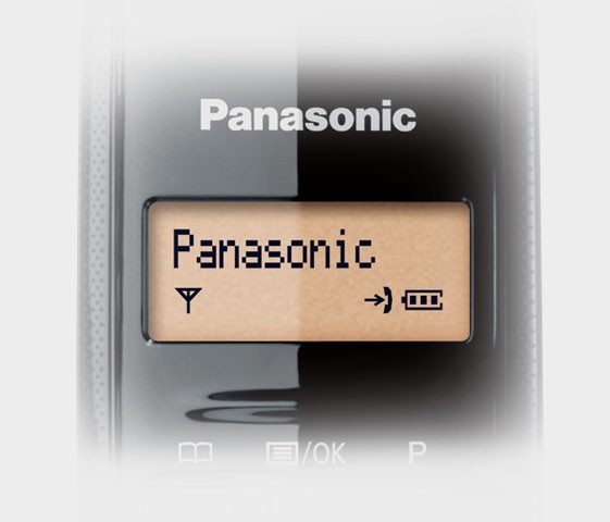 1.25-inch Amber Backlit LCD on Handset
