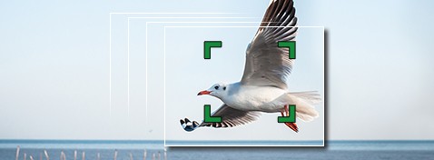 التركيز البؤري فائق السرعة
