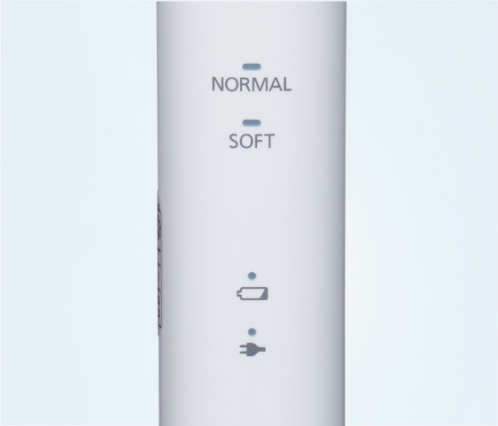 Two Selectable Brushing Modes