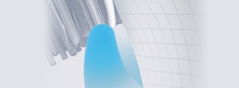 Conventional bristles