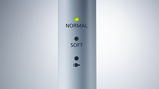 Two selectable brushing modes