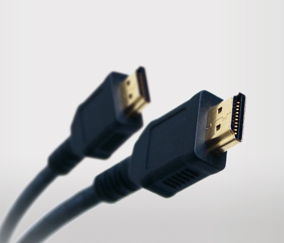 HDMI Input x 2