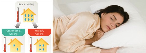 Inverter Quiet Mode Operation