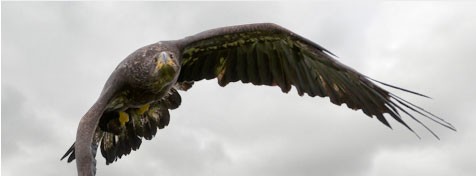 Max. 1/4000 sec. snelle sluitertijd