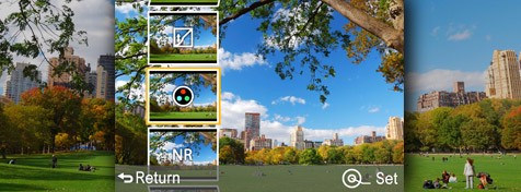 RAW Data Development in Camera