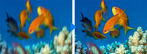 POWER O.I.S. (Optical Image Stabiliser)