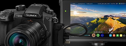 Live Output & HDMI Type A with Cable Lock Holder