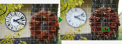 Post Focus - Shoot now, Focus Later