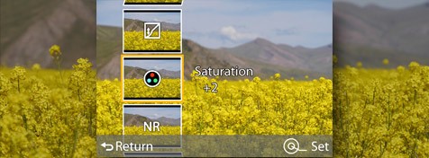 RAW Data Development in Camera