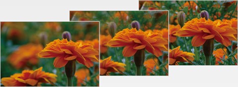 Focus Bracket / Aperture Bracket